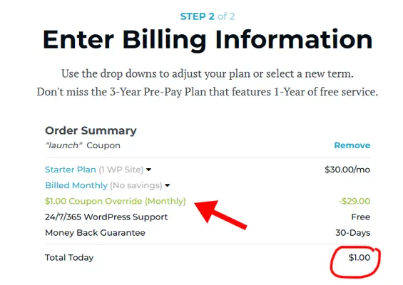 rocket hosting 1 dollar launch